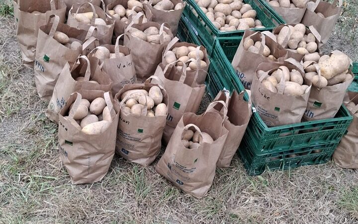 056c3d1d-d718-416a-91ad-64844e88fca8