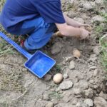 445cb802-2f29-4de3-a252-fc2b7a121e41