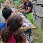 b9da7932-6376-41da-ad67-0fe5ca6100d3