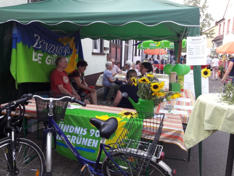 Sommerquiz 2015