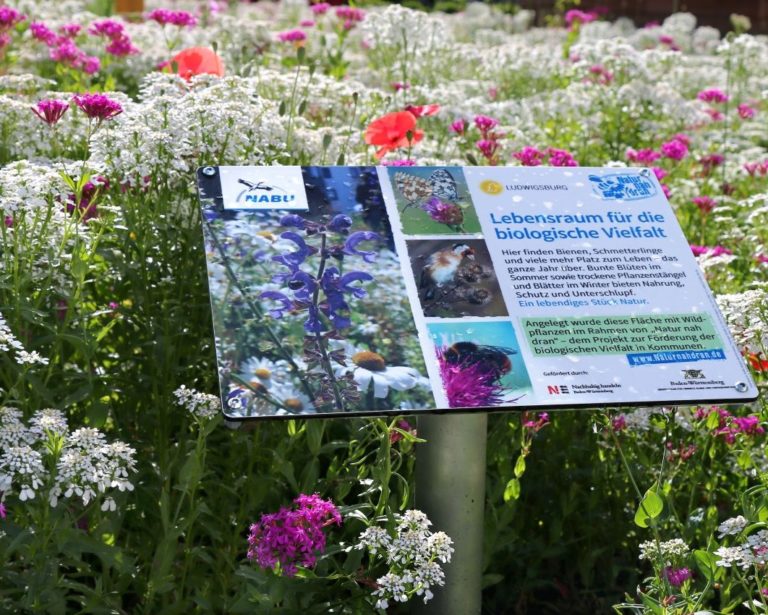 Erneute Bewerbung zum Projekt „Natur nah dran“