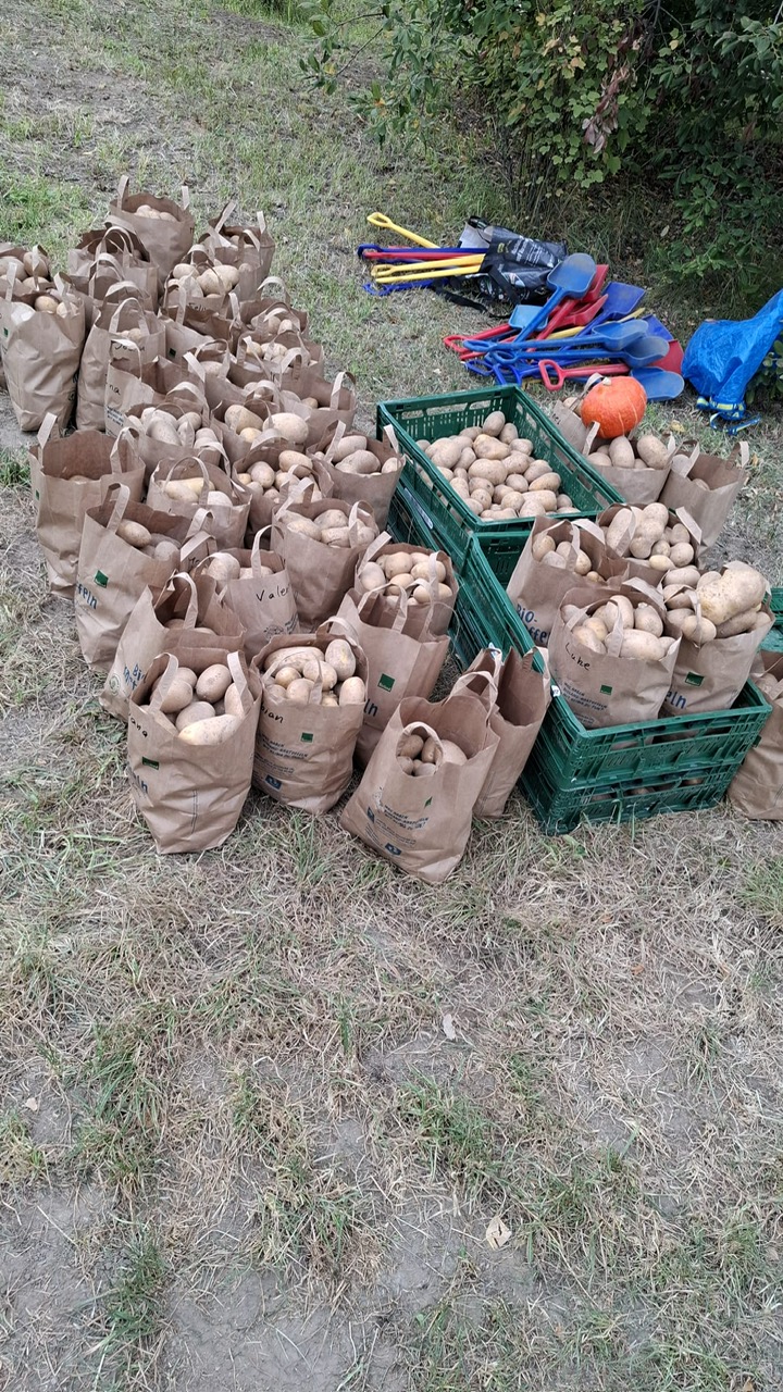 Ferienspaß auf dem Biolandhof Merz